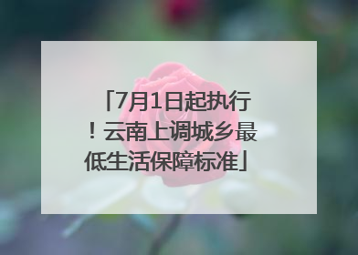 7月1日起执行！云南上调城乡最低生活保障标准