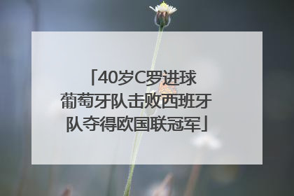 40岁C罗进球 葡萄牙队击败西班牙队夺得欧国联冠军