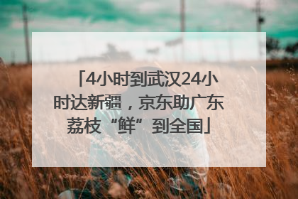 4小时到武汉24小时达新疆，京东助广东荔枝“鲜”到全国
