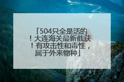 504只全是活的！大连海关最新截获！有攻击性和毒性，属于外来物种