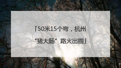 50米15个弯，杭州“猪大肠”路火出圈