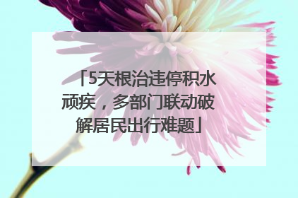 5天根治违停积水顽疾，多部门联动破解居民出行难题