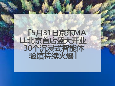 5月31日京东MALL北京首店盛大开业 30个沉浸式智能体验馆持续火爆