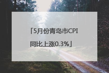 5月份青岛市CPI同比上涨0.3%