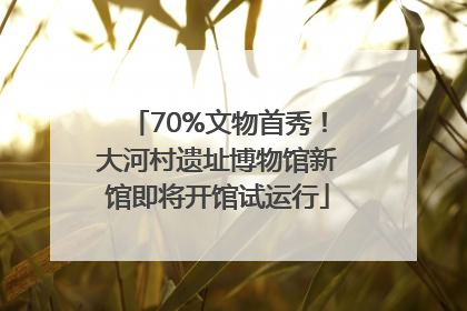 70%文物首秀！大河村遗址博物馆新馆即将开馆试运行