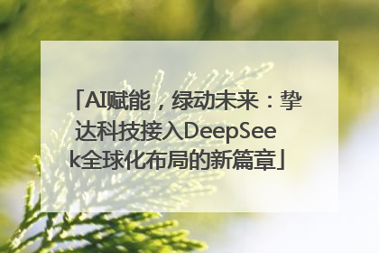 AI赋能，绿动未来：挚达科技接入DeepSeek全球化布局的新篇章