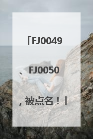 FJ0049、FJ0050，被点名！