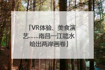 VR体验、美食演艺……南昌一江赣水绘出两岸画卷